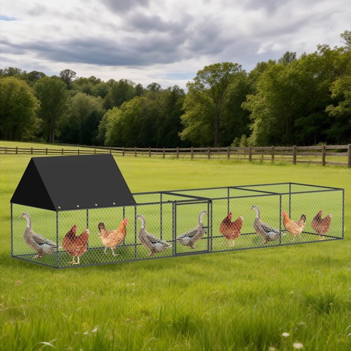 Xxl meters metal chicken - xxl,
