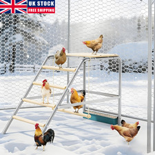 UK Chicken Coop Toy with Swing
