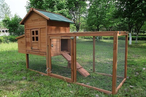 Wooden chicken coop - chicken,