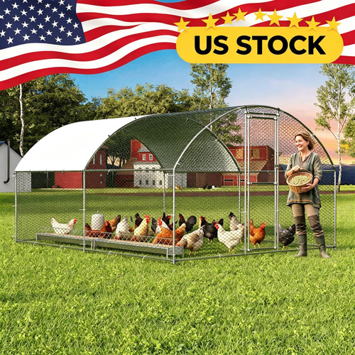 Chicken coop for - for, 10-20