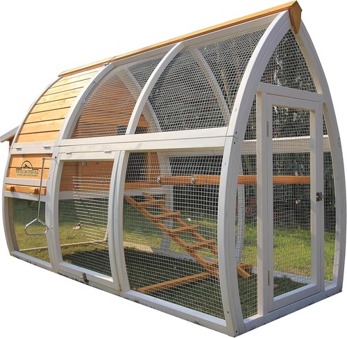 Large dorchester ark - large,