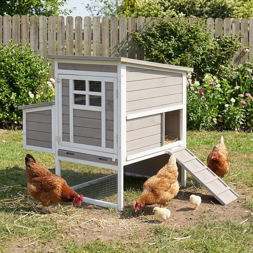 Petscosset outdoor chicken - petscosset,