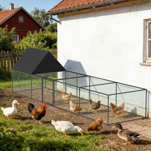 Premium chicken coop cage - premium,