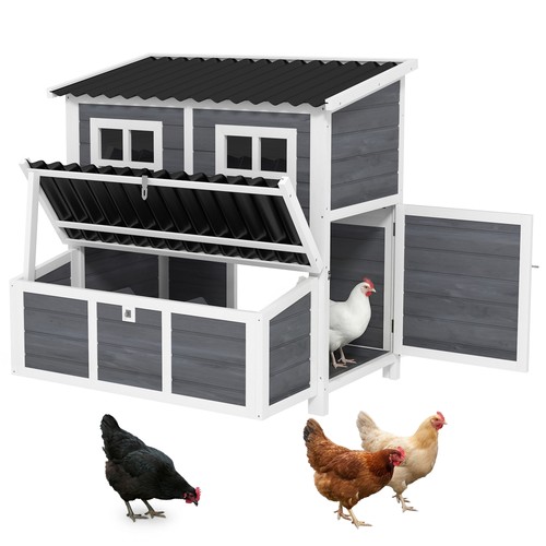 Wooden chicken coop - chicken,