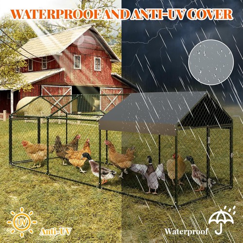 Chicken coop small metal - chicken,