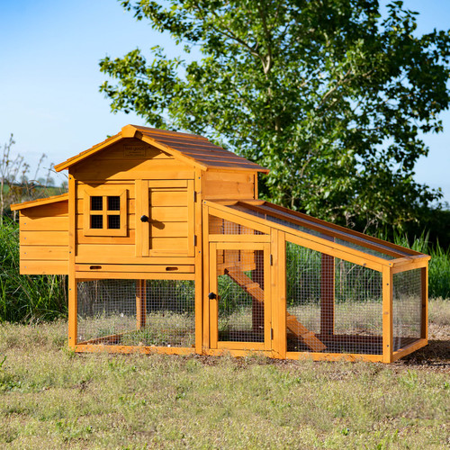 Chicken coop run hen - &,