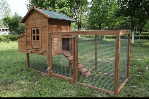 Weatherproof wooden chicken - weatherproof,