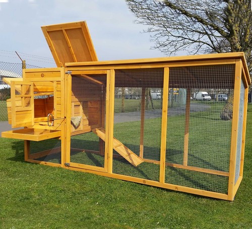 Large 8ft cocoon chicken - 8ft,