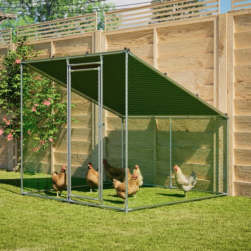 7x6 walk metal - metal, chicken