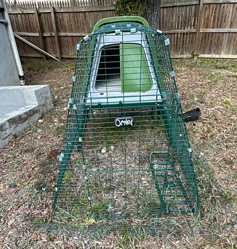 Omlet plastic chicken - omlet,