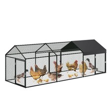 Walk-in Chicken Run Poultry