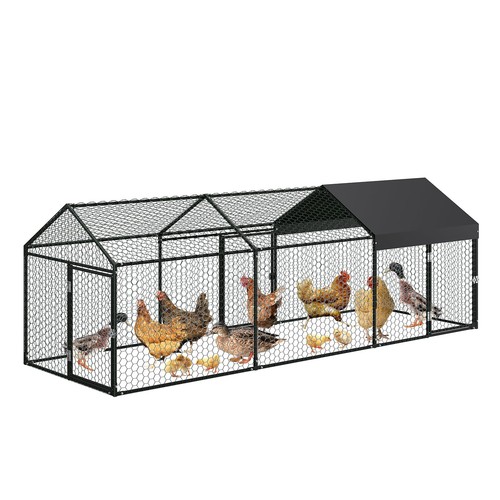 Walk chicken run poultry - run,