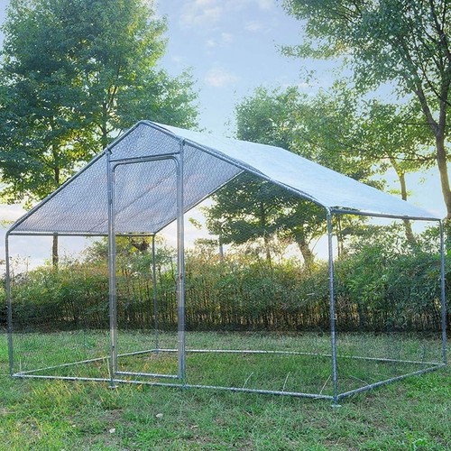 Gojooasis large chicken - lz,