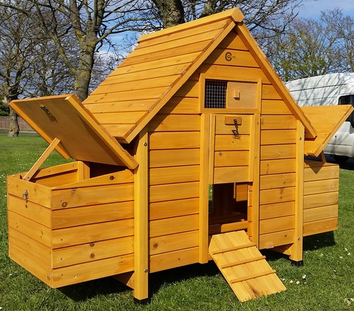 Chicken coop hen - coop, ark