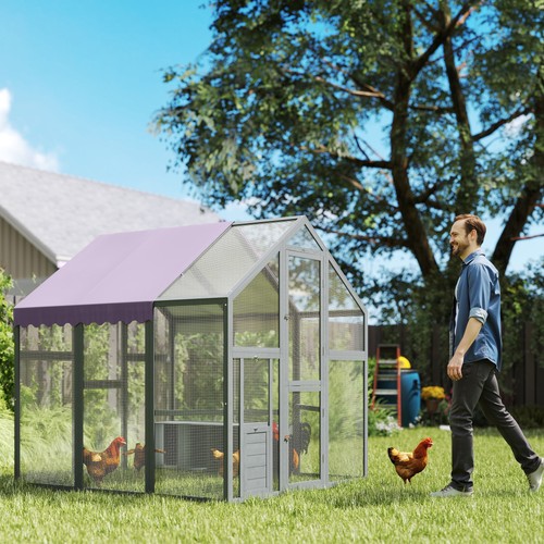 Pawhut large walk chicken - walk,