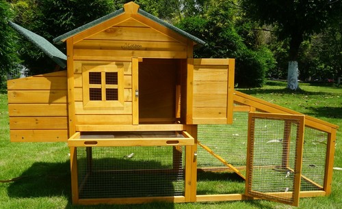 Chicken coop run - coop, house