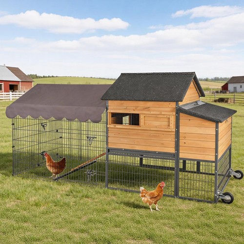 Large chicken coop - large, with