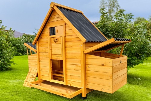 Chicken coop run hen - coop, house
