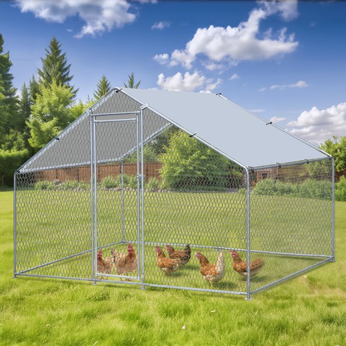 Large walk metal chicken - metal,