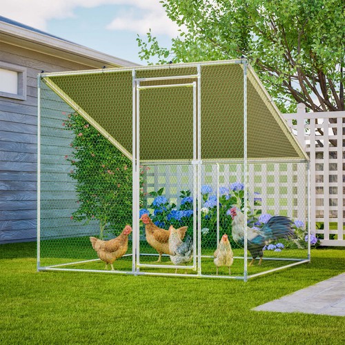 Large walk metal chicken - walk-in,