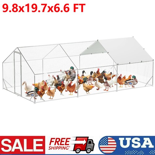 Large metal chicken - 20, 10