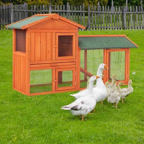 Wooden chicken coop hen - coop, house