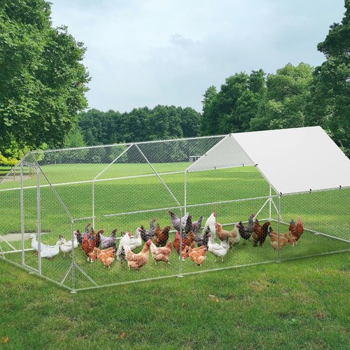 Metal chicken coop - 10,