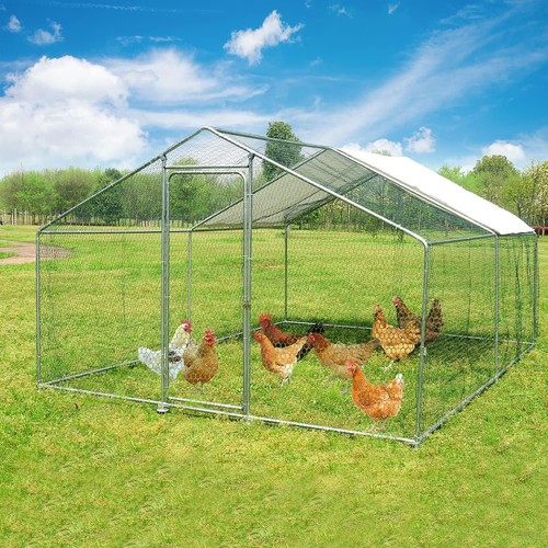 10x10 13x10 20x10 chicken - 20x10',