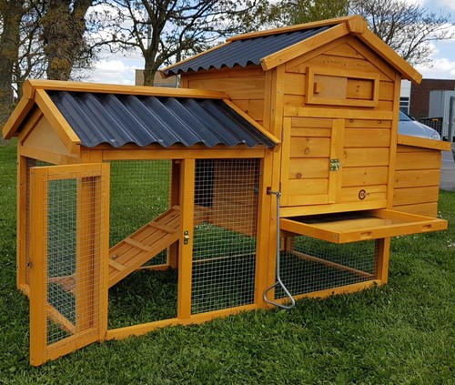 Chicken coop run - chicken,