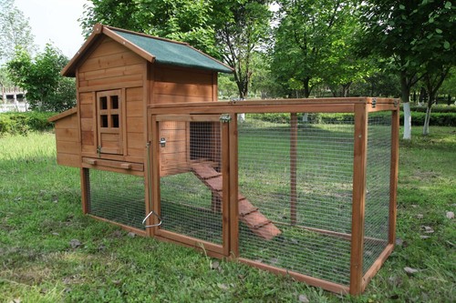 Outdoor wooden chicken - 80'',