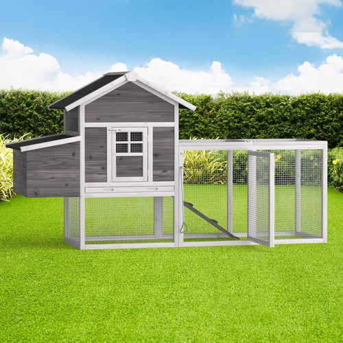 Outdoor wooden chicken - 80'',