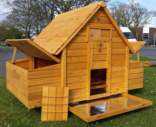 Large chicken coop run hen - chicken,