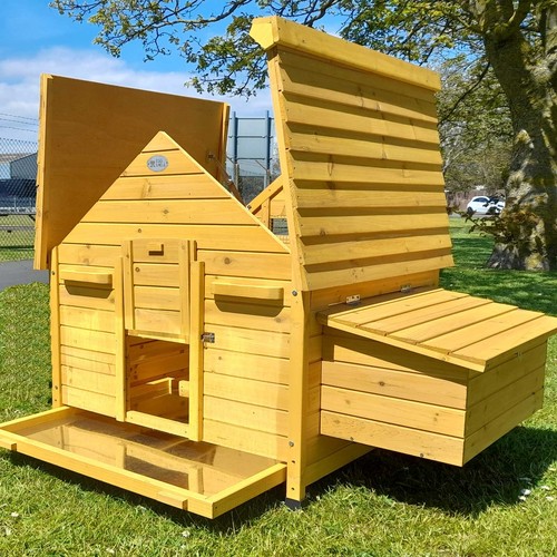 Betty chicken coop - betty,