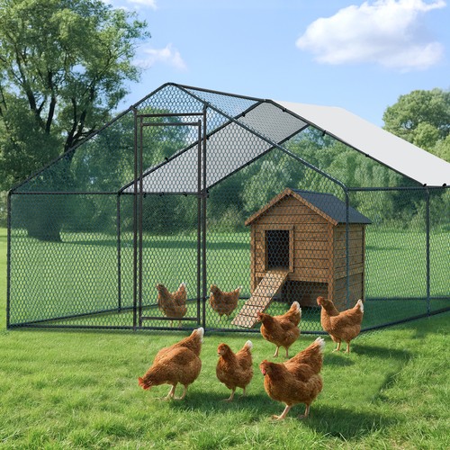 Metal chicken coop 10 ft - 13, x