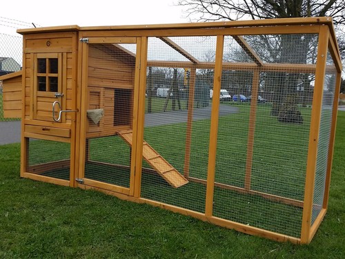 Large cocoon chicken - cocoon, house