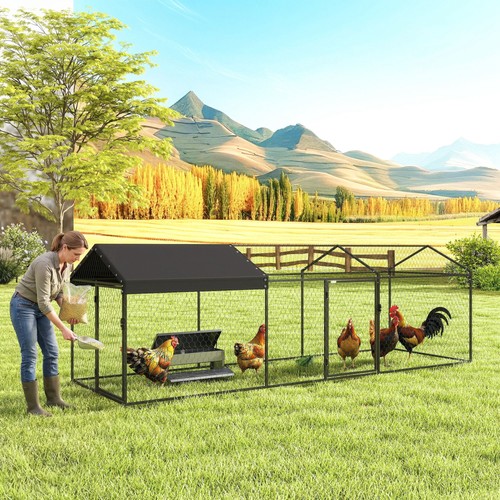 Outdoor large metal chicken - outdoor,