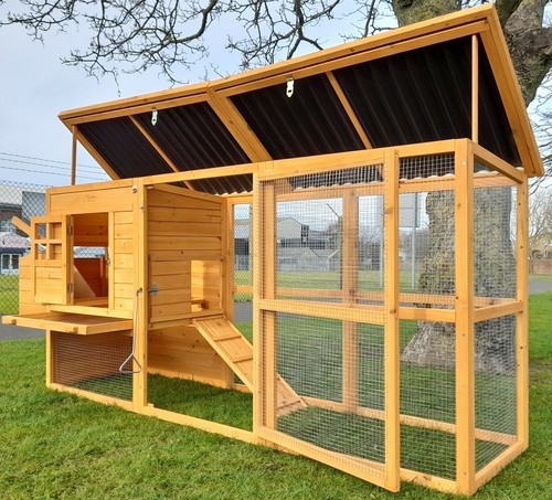 Chicken coop run hen - chicken,