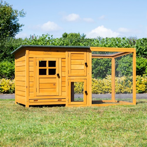 Chicken coop run - coop, house