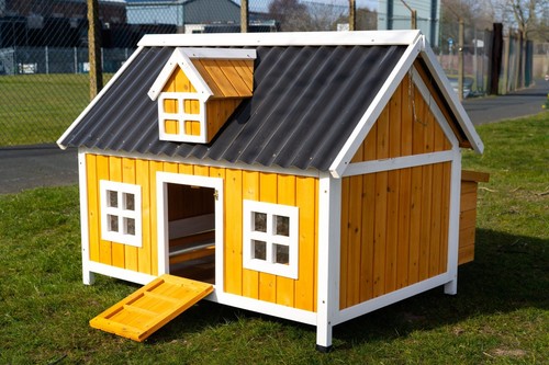 Large chicken coop hen - chicken, house