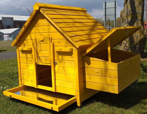 Chicken coop run - chicken, house