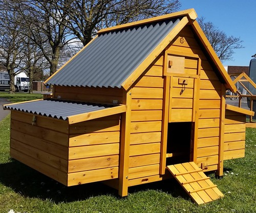 Large chicken coop - run, hen