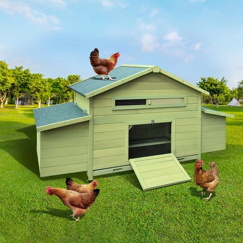 Large wooden chicken - large,