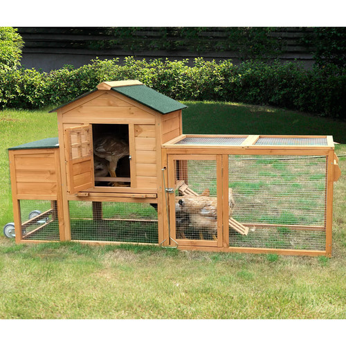 Chicken coop with - chicken,