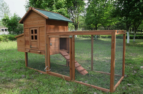 Outdoor chicken coop for - chicken,
