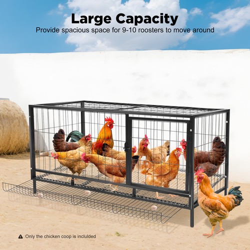 Indoor outdoor chicken coop - indoor,