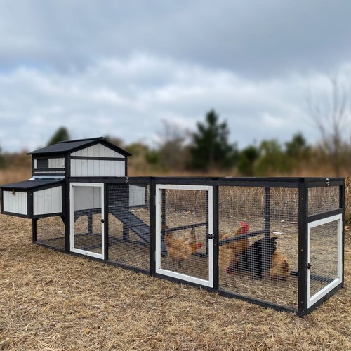 Large chicken coop wooden - coop, hen