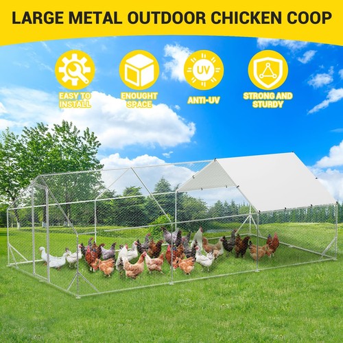 Large metal chicken - x,