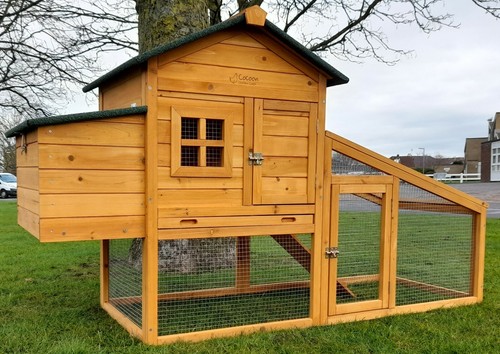 Chicken coop run - chicken, hen