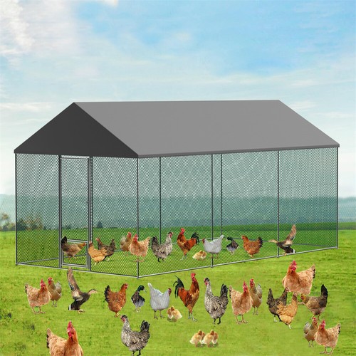 7ft spacious chicken coop - spacious,
