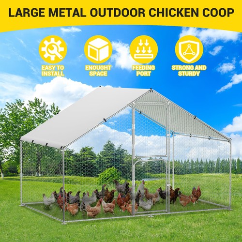 5x10 large metal chicken - 6.5x10, ft
